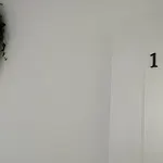 Zielono Mi